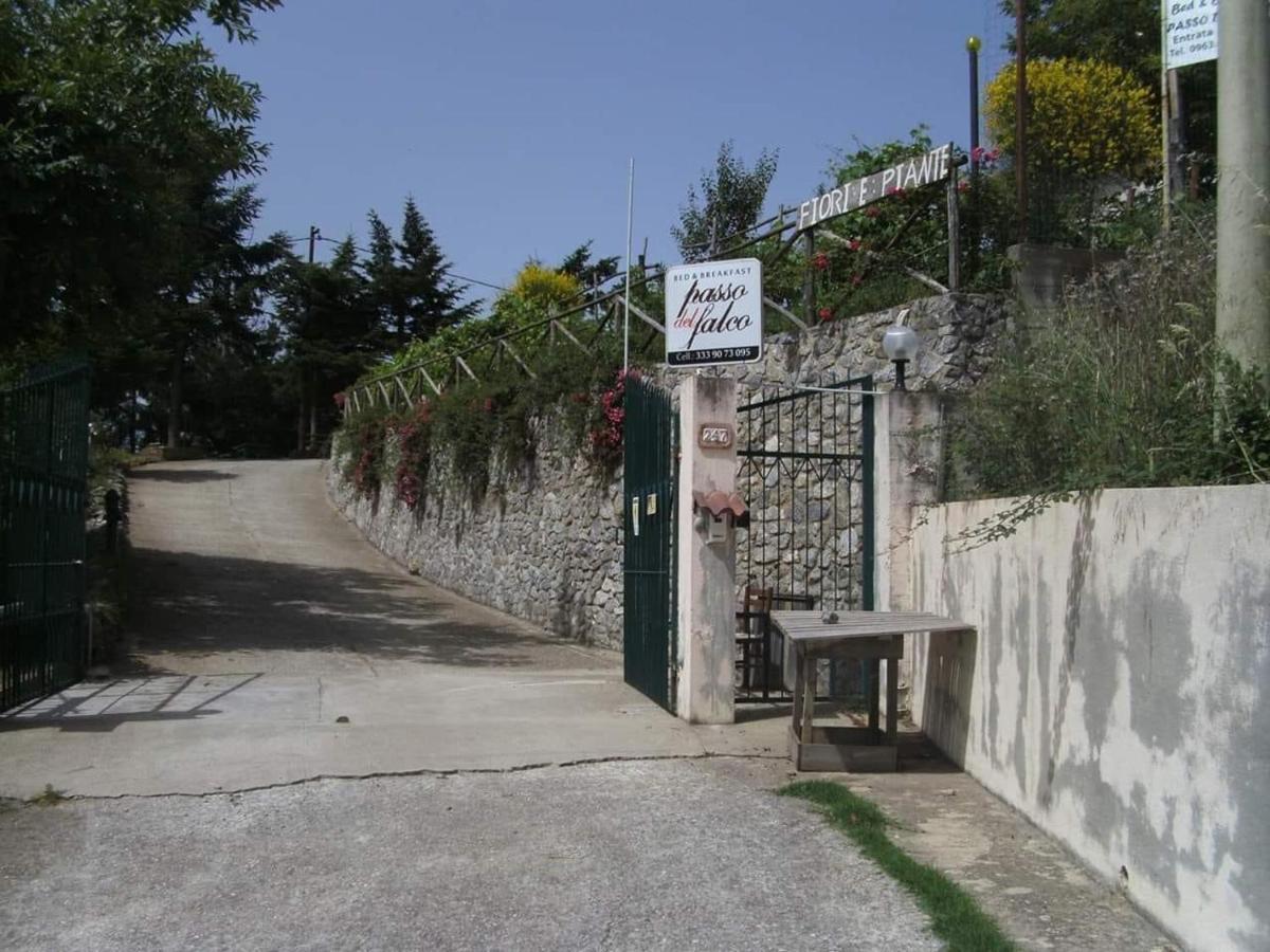 B&B Passo Del Falco Sorianello Εξωτερικό φωτογραφία