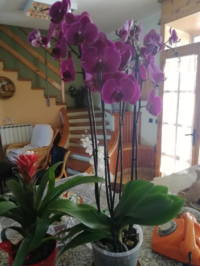 B&B Passo Del Falco Sorianello Εξωτερικό φωτογραφία
