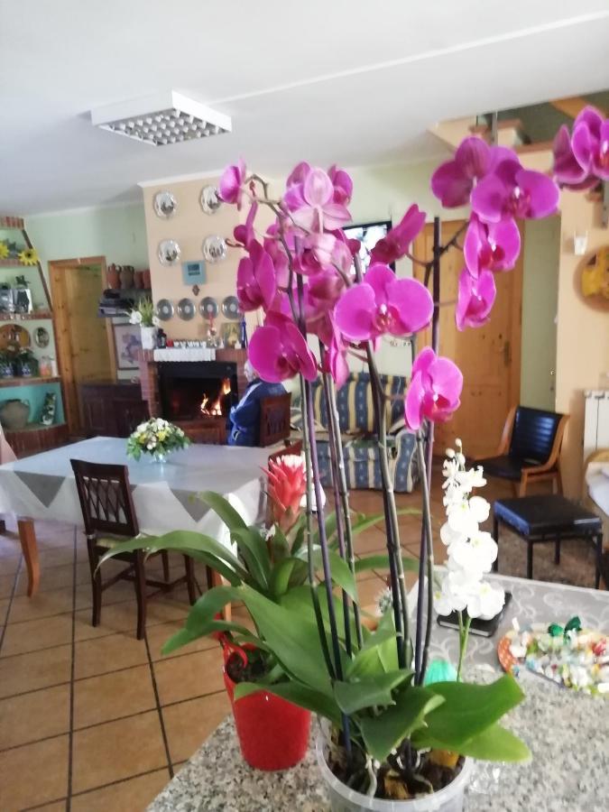 B&B Passo Del Falco Sorianello Εξωτερικό φωτογραφία