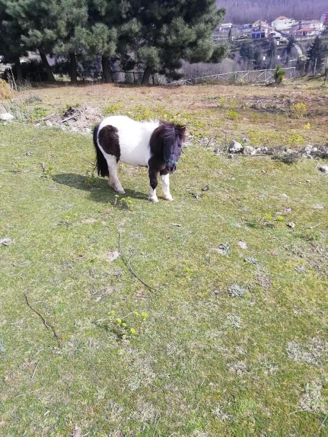 B&B Passo Del Falco Sorianello Εξωτερικό φωτογραφία