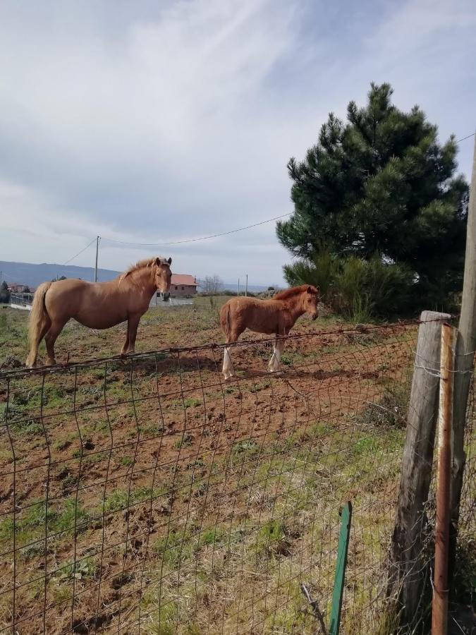 B&B Passo Del Falco Sorianello Εξωτερικό φωτογραφία